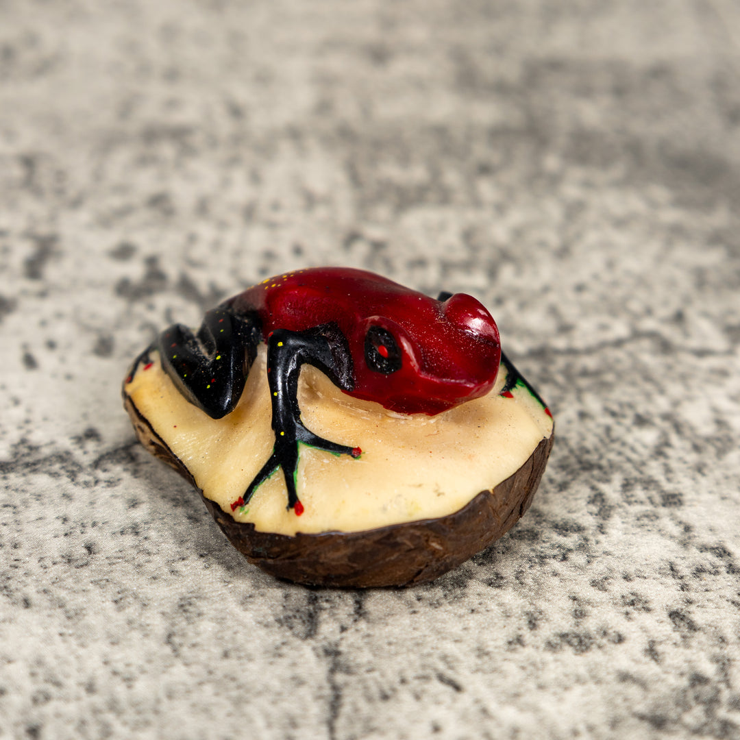 Black And Red Poison Dart Frog Tagua Carving
