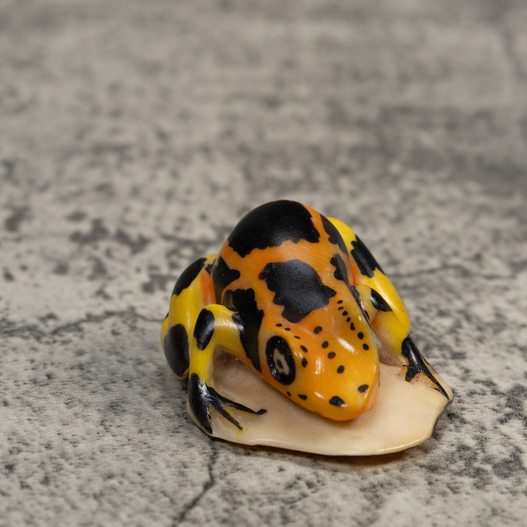 Black Gold And Yellow Poison Dart Frog Tagua Carving