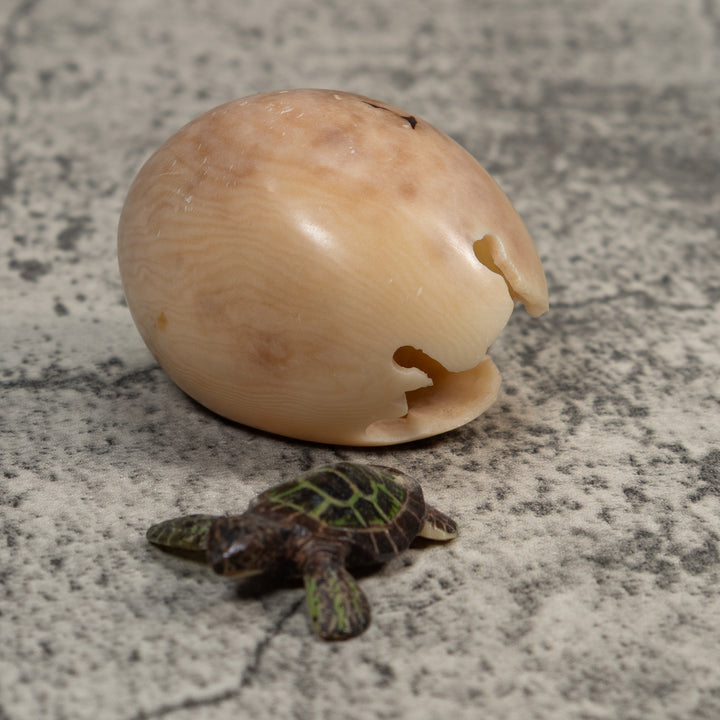 Sea Turtle Emerging From Egg Tagua Carving