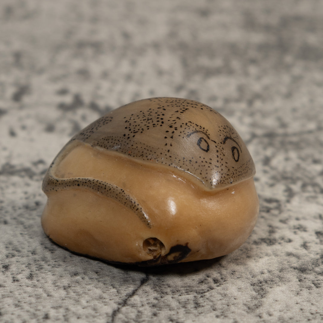 Vintage Ocean Stingray Tagua Carving