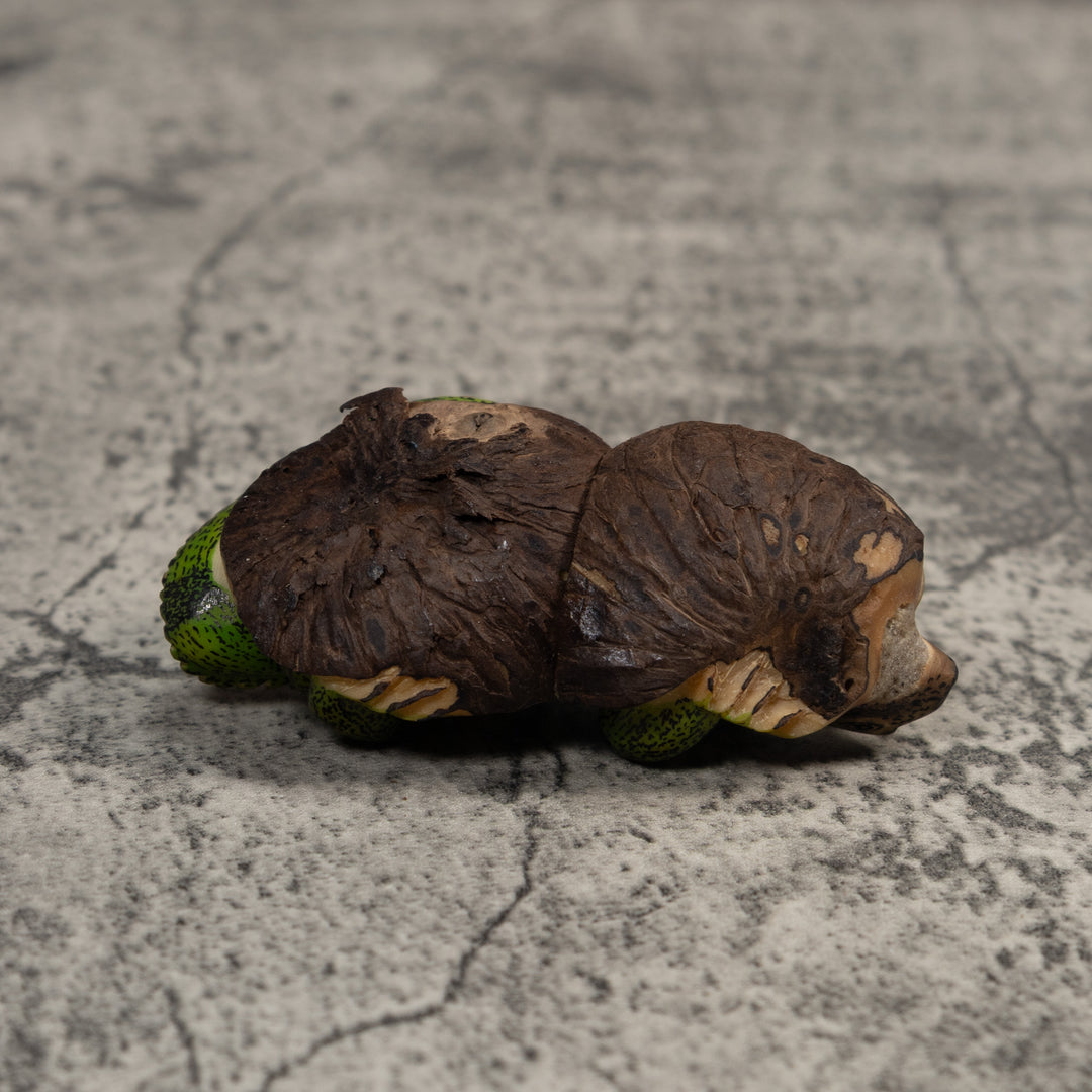 Double Nut Iguana Lizard Tagua Carving