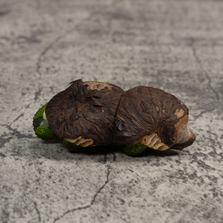 Double Nut Iguana Lizard Tagua Carving