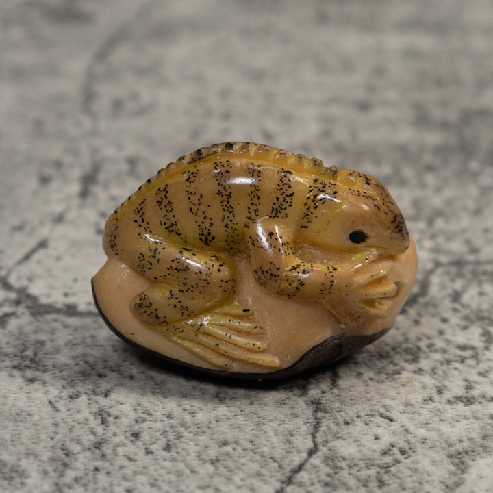 Vintage Brown And Tan Gecko Lizard Tagua Carving