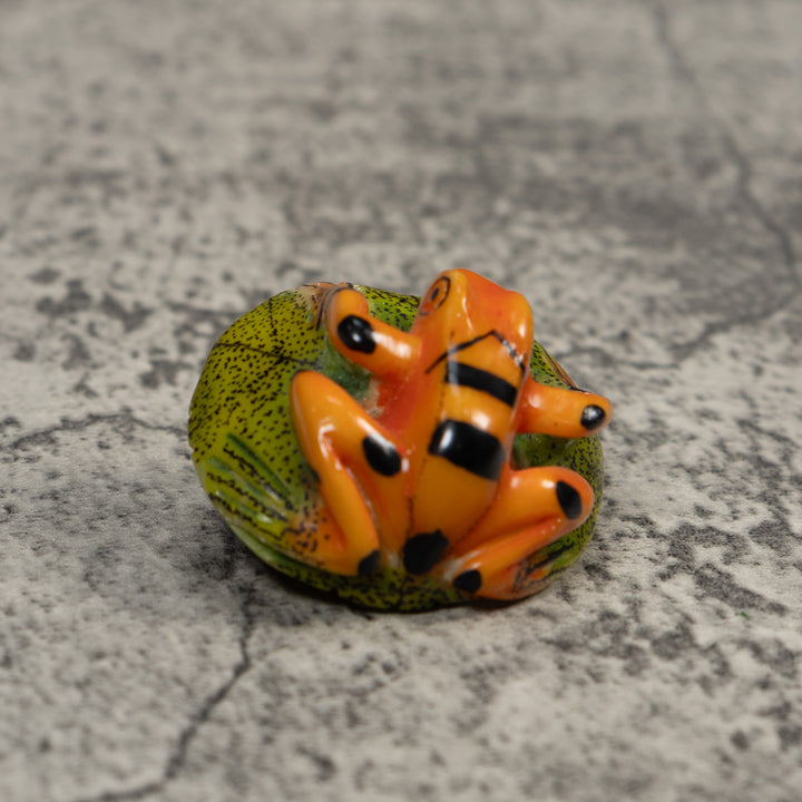 Golden Frog Tagua Carving