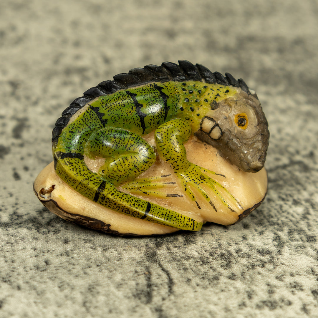 Green Iguana Lizard Tagua Carving
