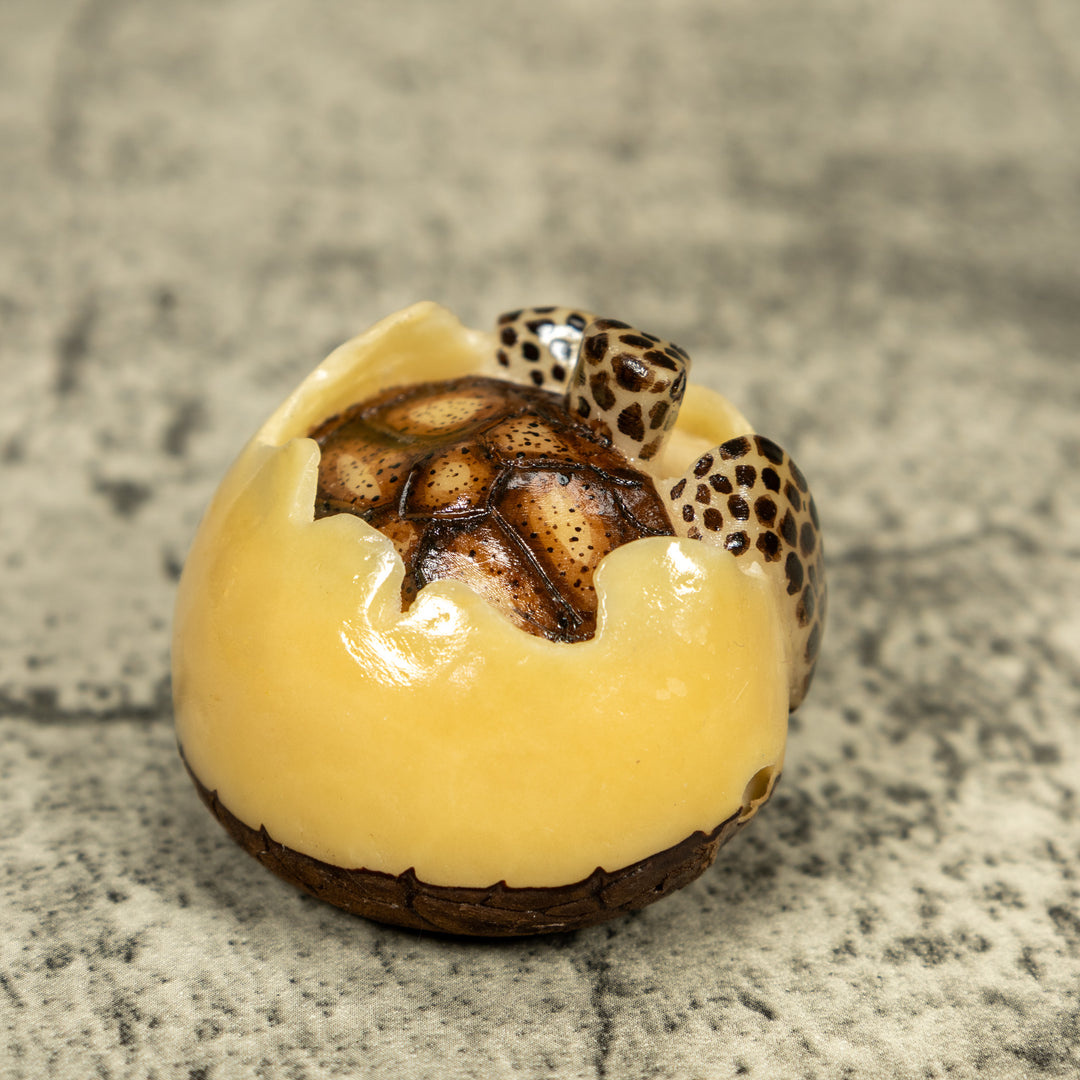 Black And Brown Sea Turtle Emerging From Egg Tagua Carving