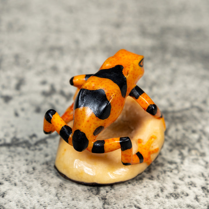 Fully Undercut Poison Dart Frog Tagua Carving