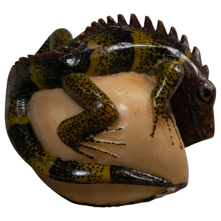 Black And Green Iguana Lizard Tagua Carving