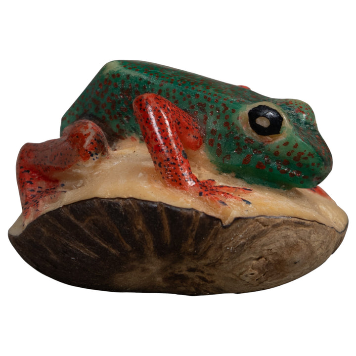 Red And Green Poison Dart Frog Tagua Carving