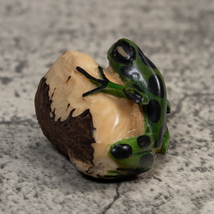 Black And Green Poison Dart Frog Tagua Carving