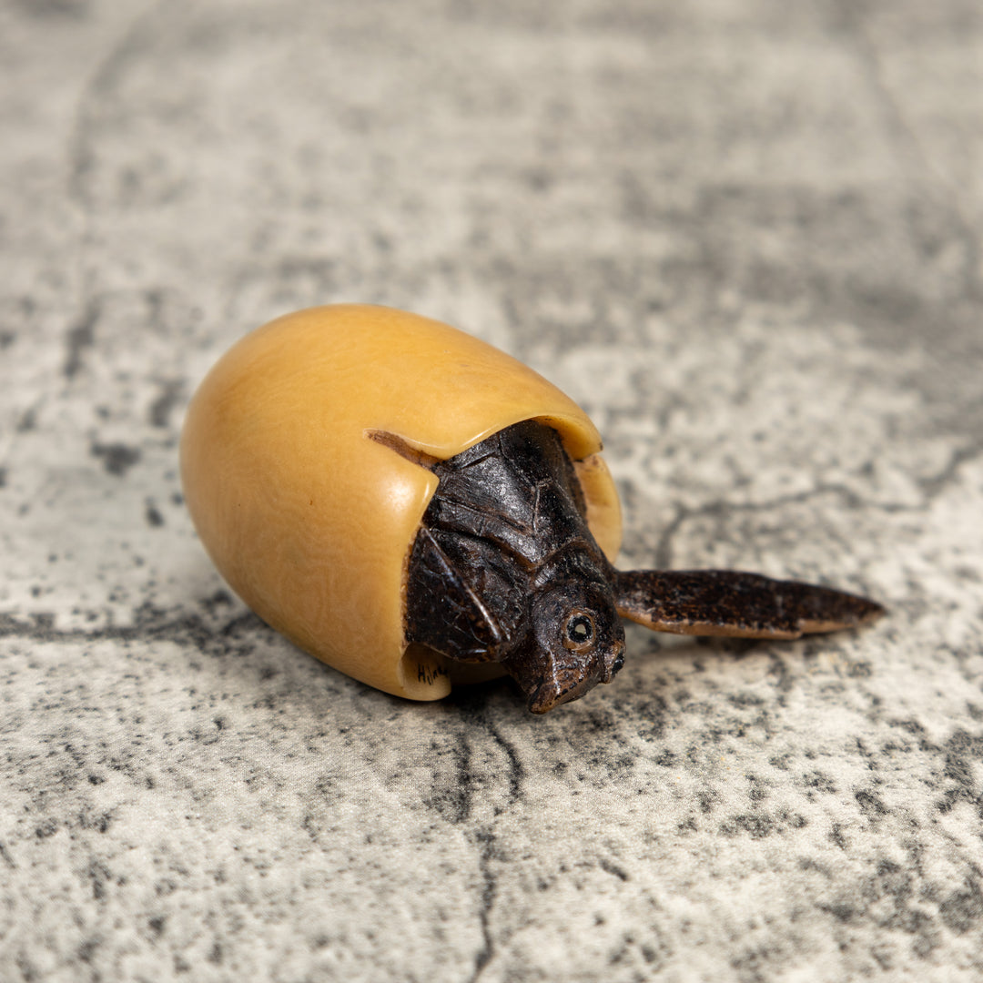 Sea Turtle Emerging From Egg Tagua Carving
