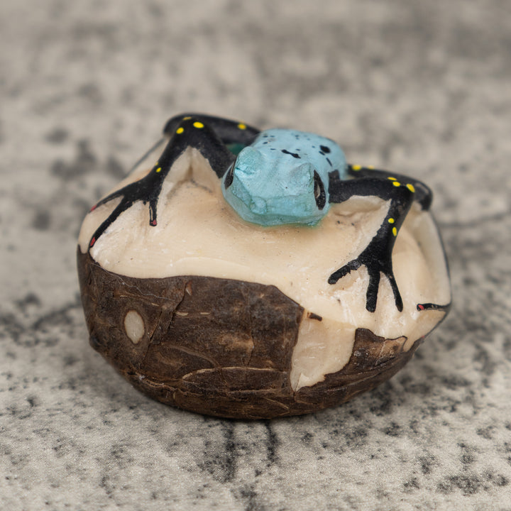 Black And Blue Poison Dart Frog Tagua Carving
