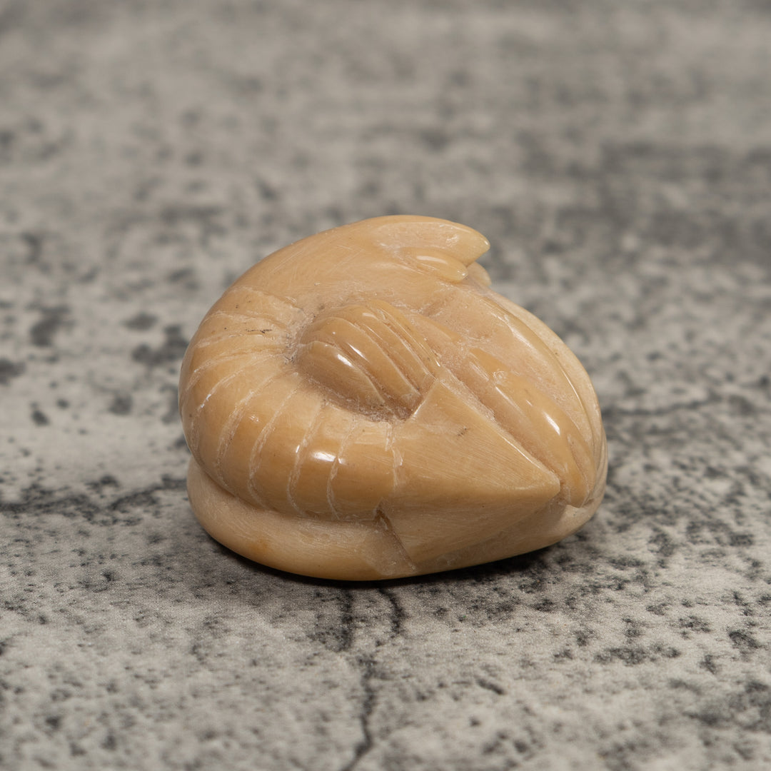 Vintage White Shrimp Tagua Carving