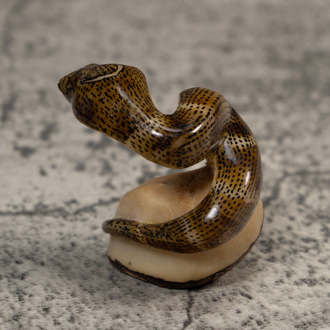 Vintage Speckled Cobra Snake Tagua Carving