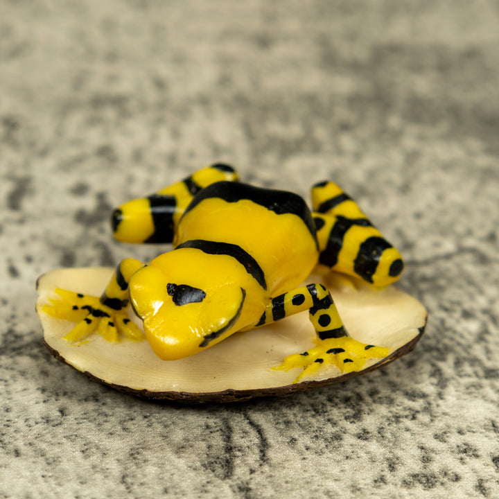 Black And Yellow Golden Frog Tagua Carving