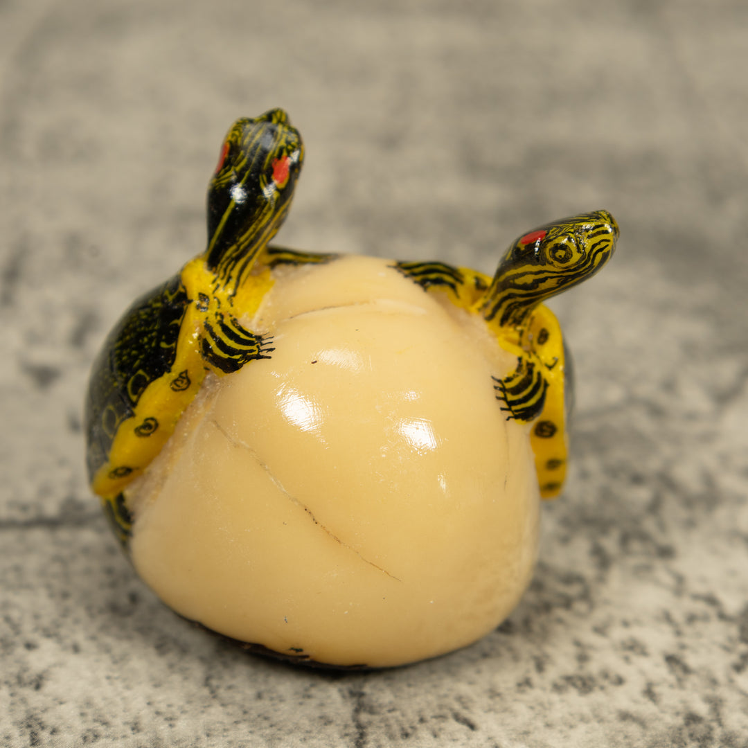 Double (2) Tortoise Turtle Tagua Carving