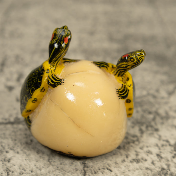 Double (2) Tortoise Turtle Tagua Carving