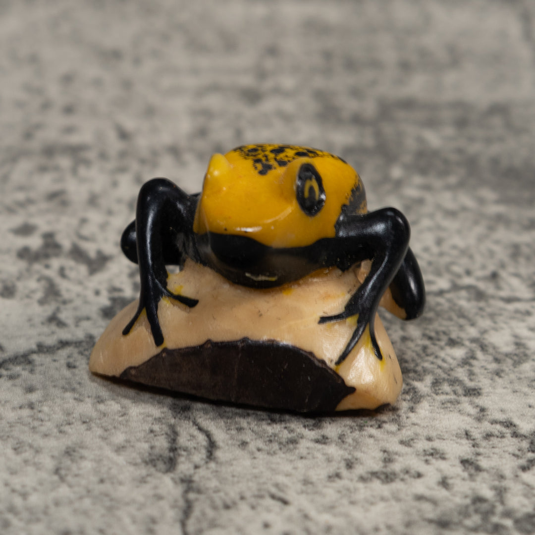 Vintage Black And Gold Poison Dart Frog Tagua Carving
