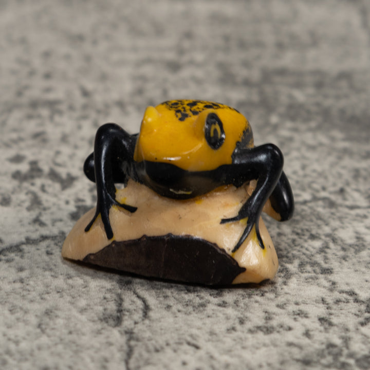 Vintage Black And Gold Poison Dart Frog Tagua Carving