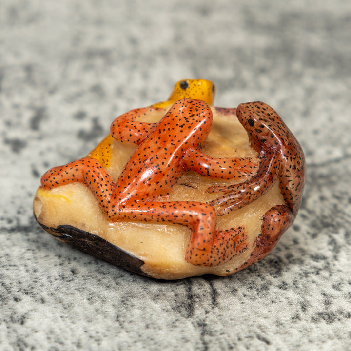 Three Poison Dart Frog Tagua Carving