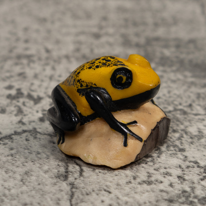 Vintage Black And Gold Poison Dart Frog Tagua Carving