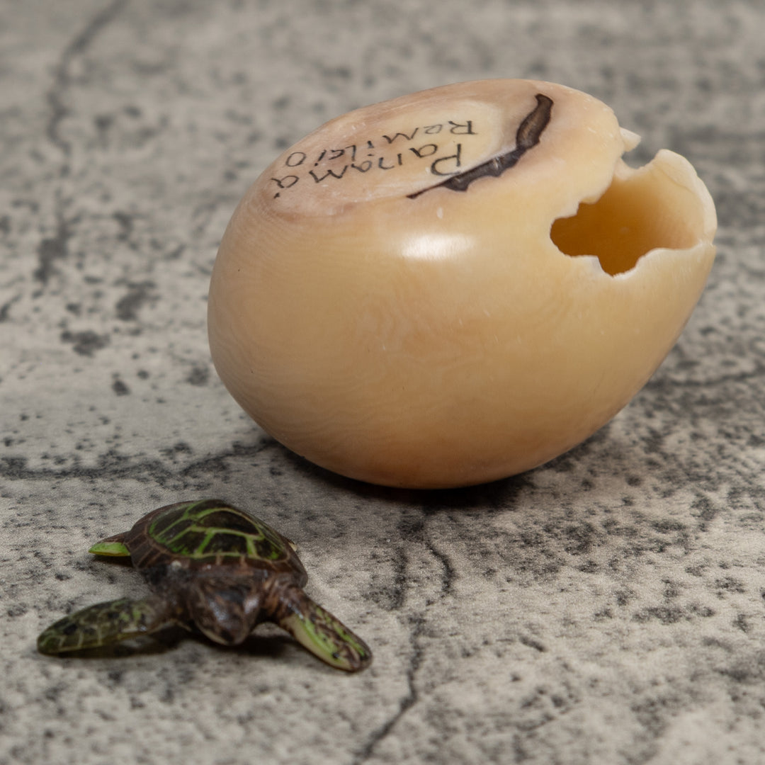 Sea Turtle Emerging From Egg Tagua Carving