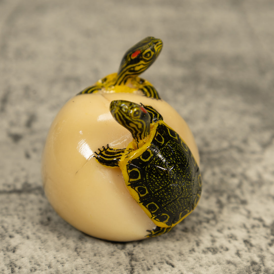 Double (2) Tortoise Turtle Tagua Carving