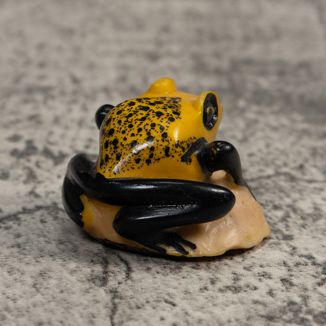 Vintage Black And Gold Poison Dart Frog Tagua Carving