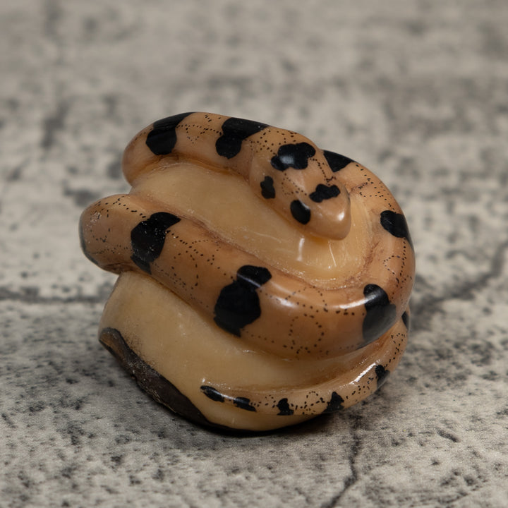 Vintage Black And Tan Snake Tagua Carving