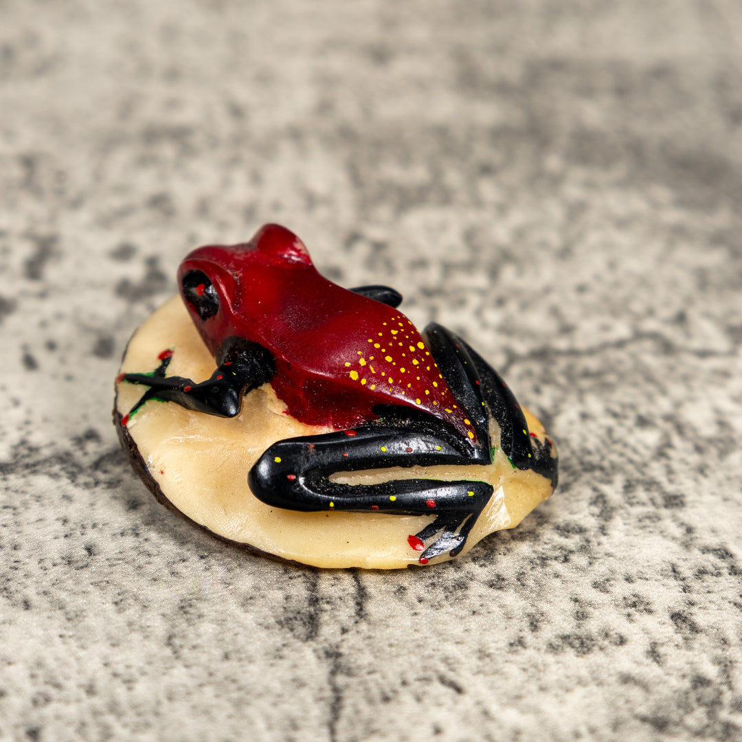 Black And Red Poison Dart Frog Tagua Carving