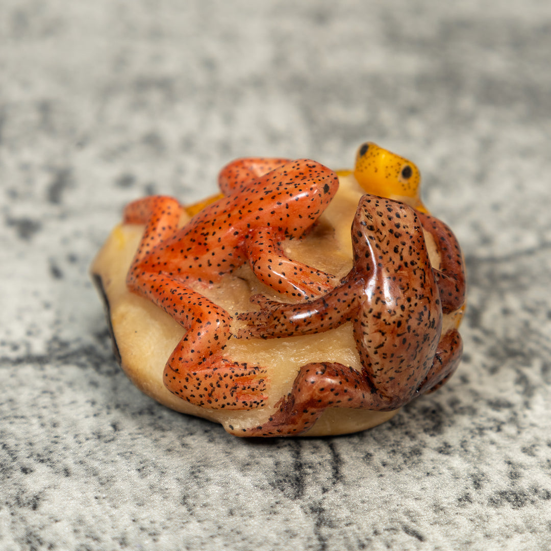 Three Poison Dart Frog Tagua Carving