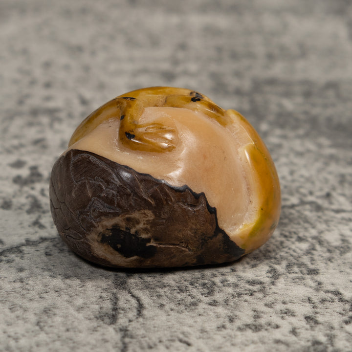 Gold And Black  Poison Dart Frog Tagua Carving