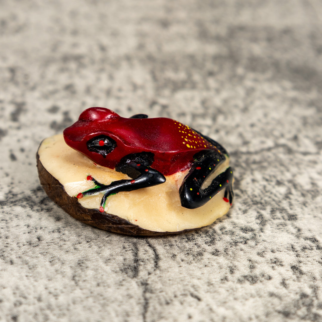 Black And Red Poison Dart Frog Tagua Carving