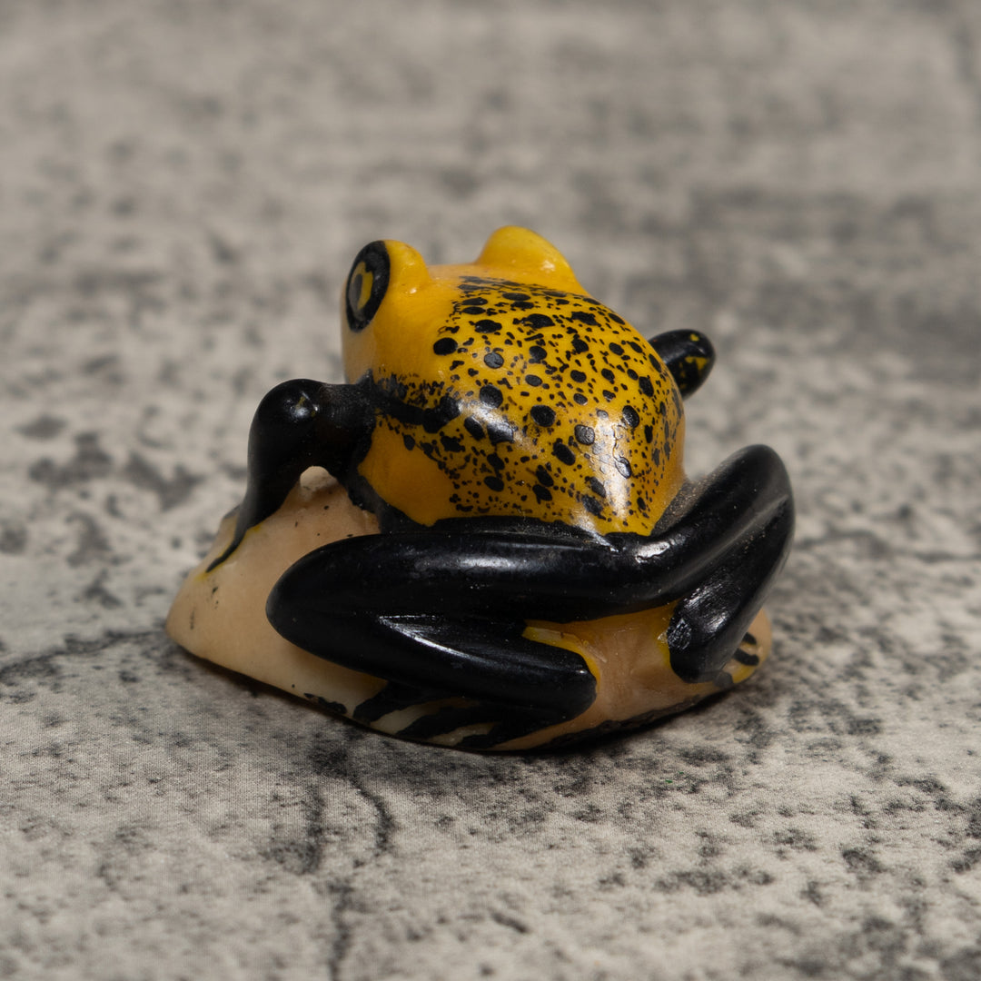 Vintage Black And Gold Poison Dart Frog Tagua Carving