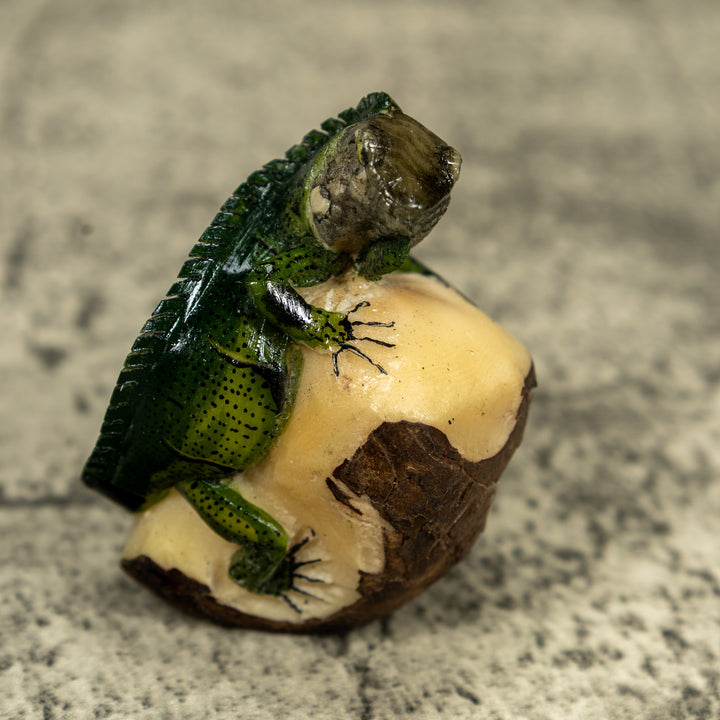 Green Iguana lizard On Pedestal Tagua Carving