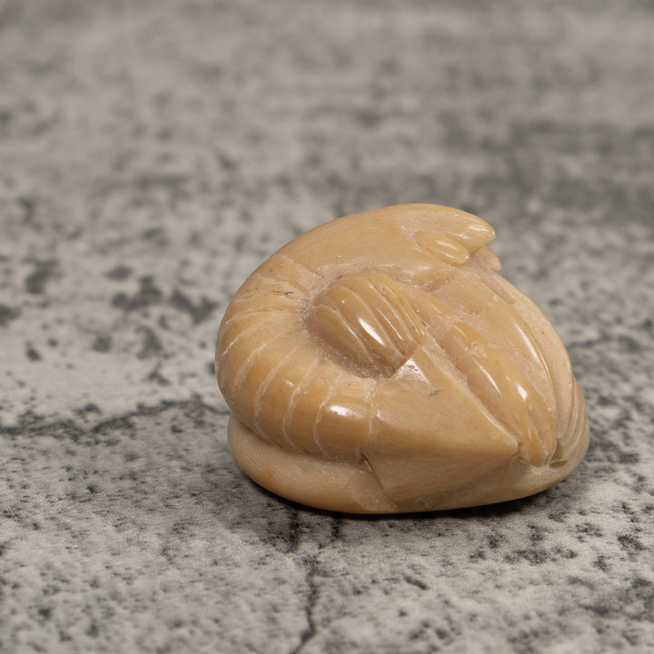 Vintage White Shrimp Tagua Carving