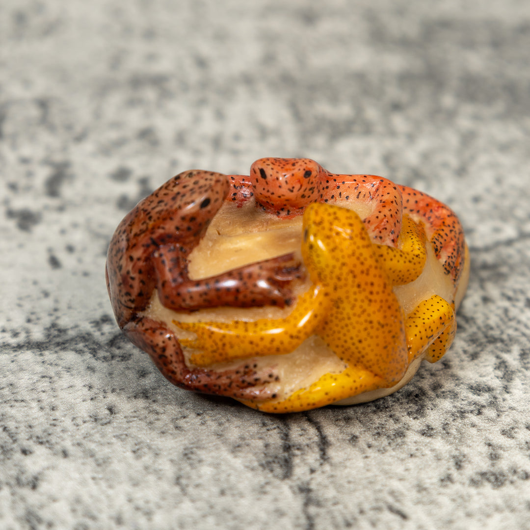 Three Poison Dart Frog Tagua Carving