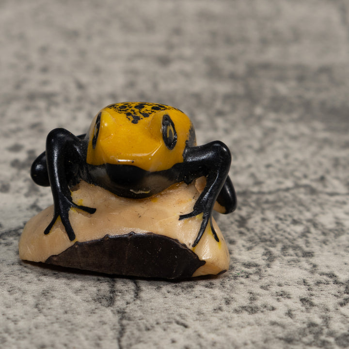 Vintage Black And Gold Poison Dart Frog Tagua Carving