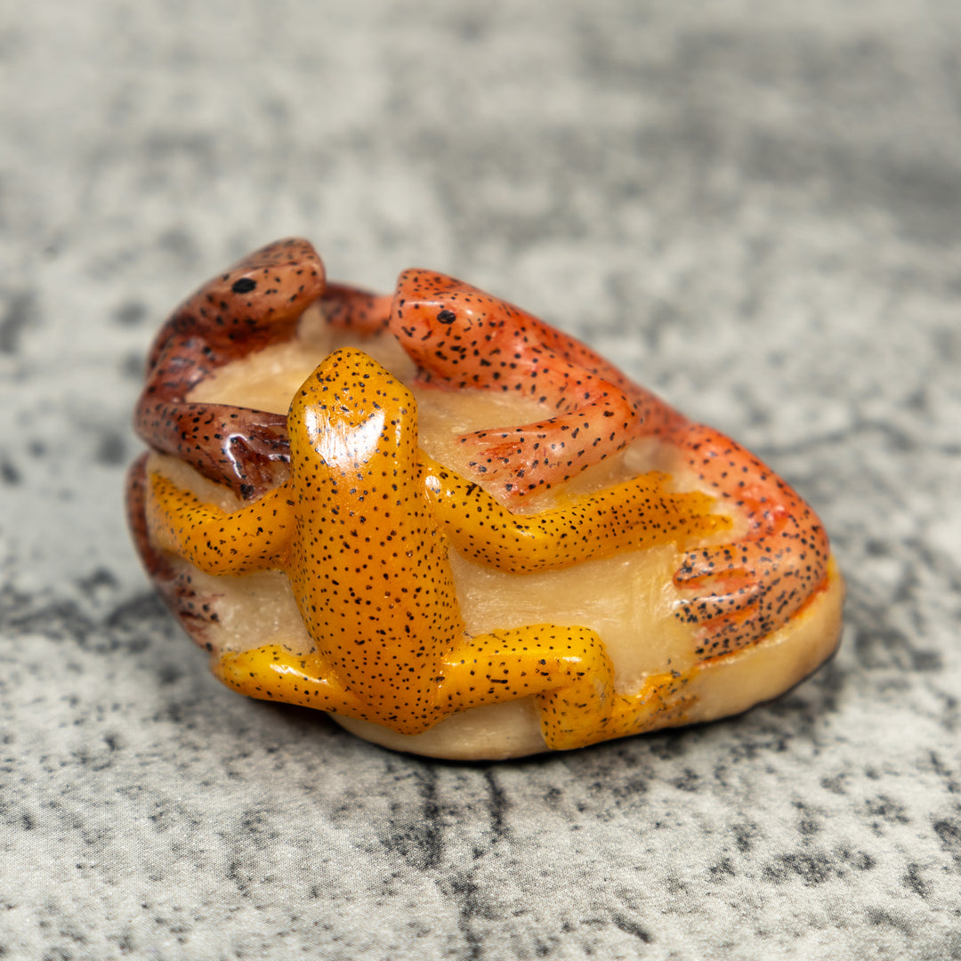 Three Poison Dart Frog Tagua Carving