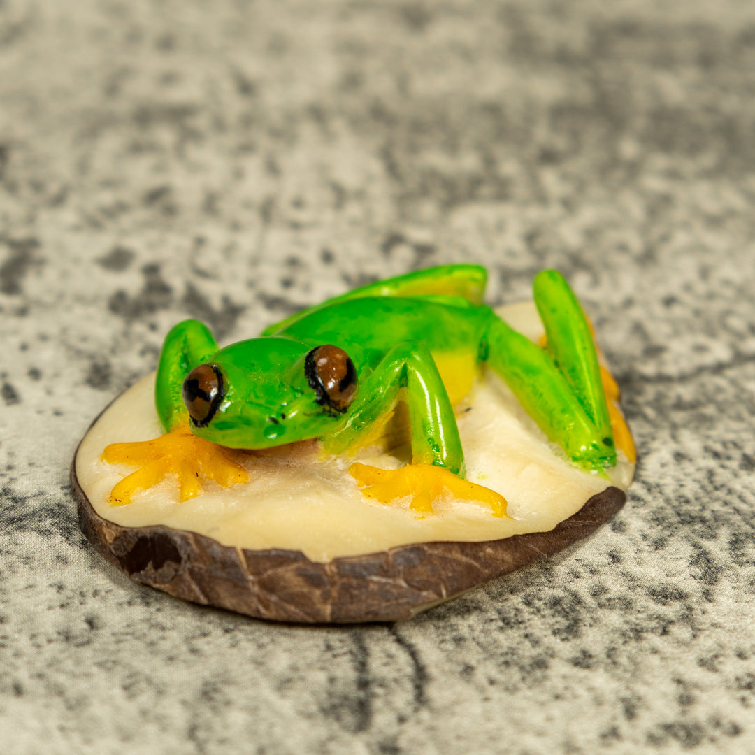 Red-Eye Tree Frog Tagua Carving
