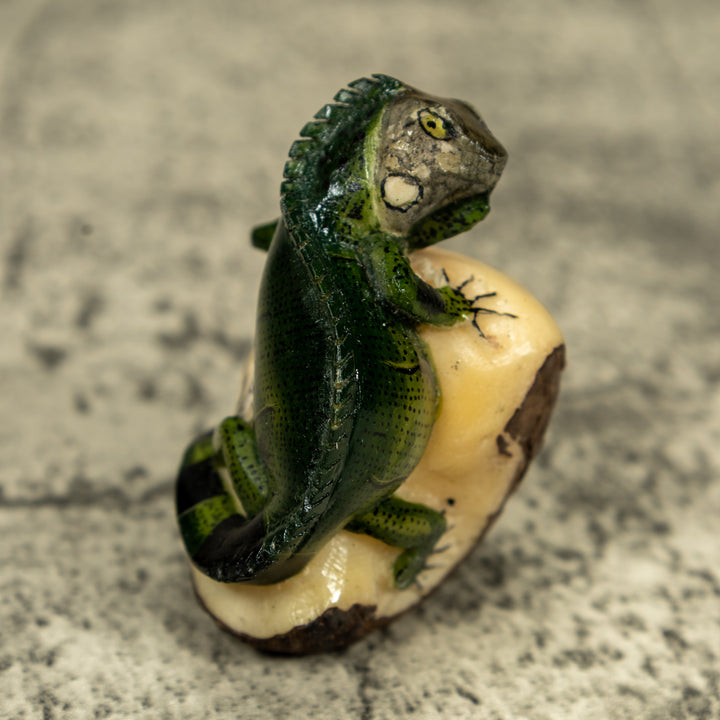 Green Iguana lizard On Pedestal Tagua Carving