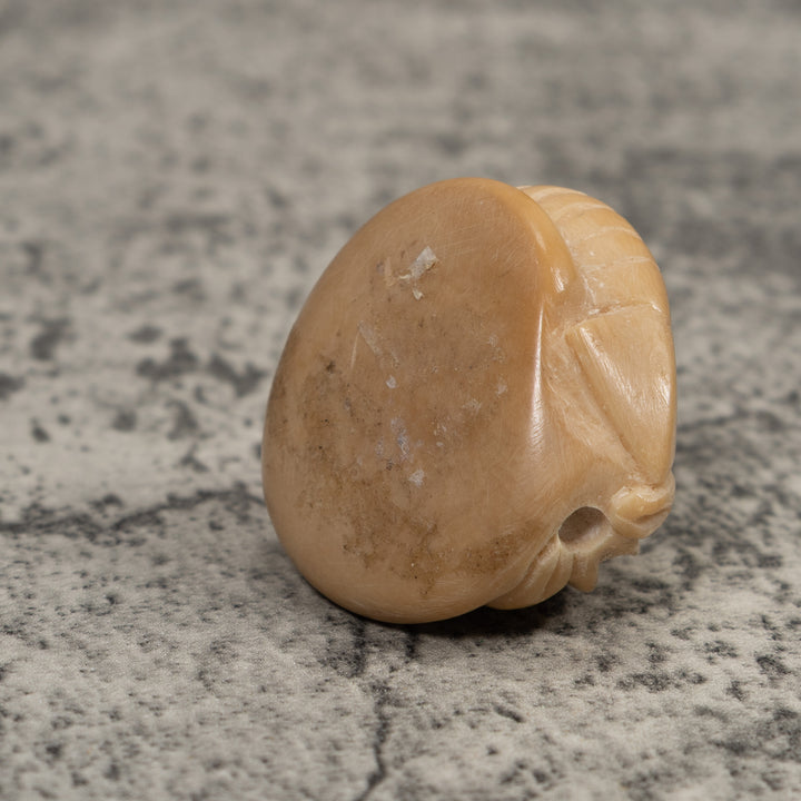 Vintage White Shrimp Tagua Carving