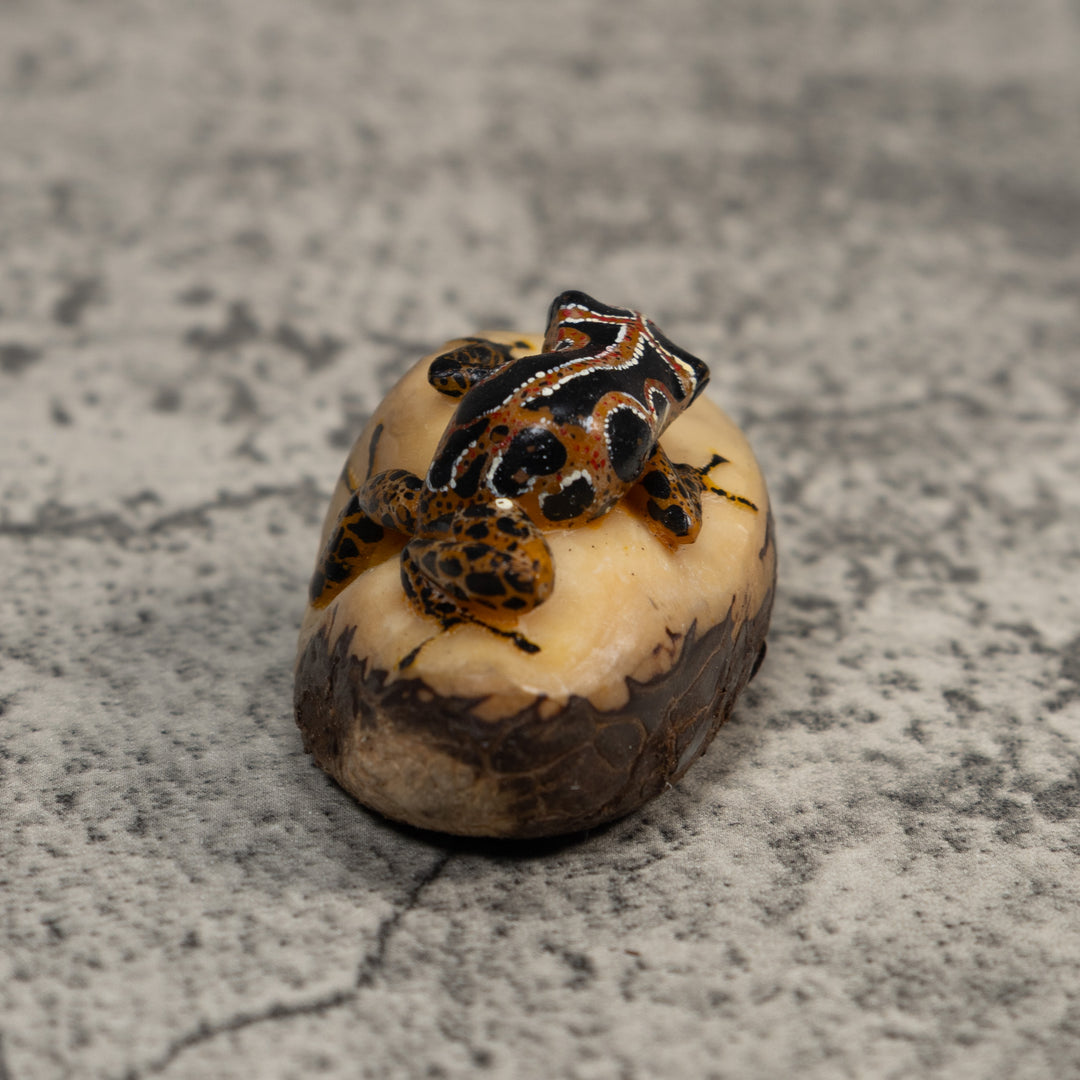 Vintage Black Brown And White Poison Dart Frog Tagua Carving