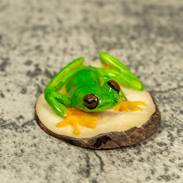 Red-Eye Tree Frog Tagua Carving