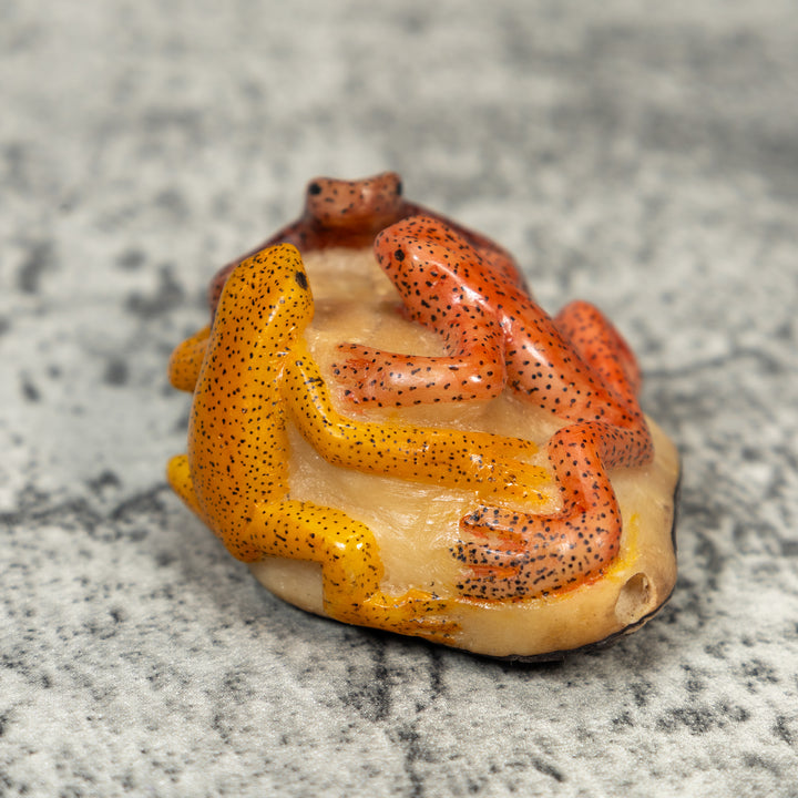 Three Poison Dart Frog Tagua Carving