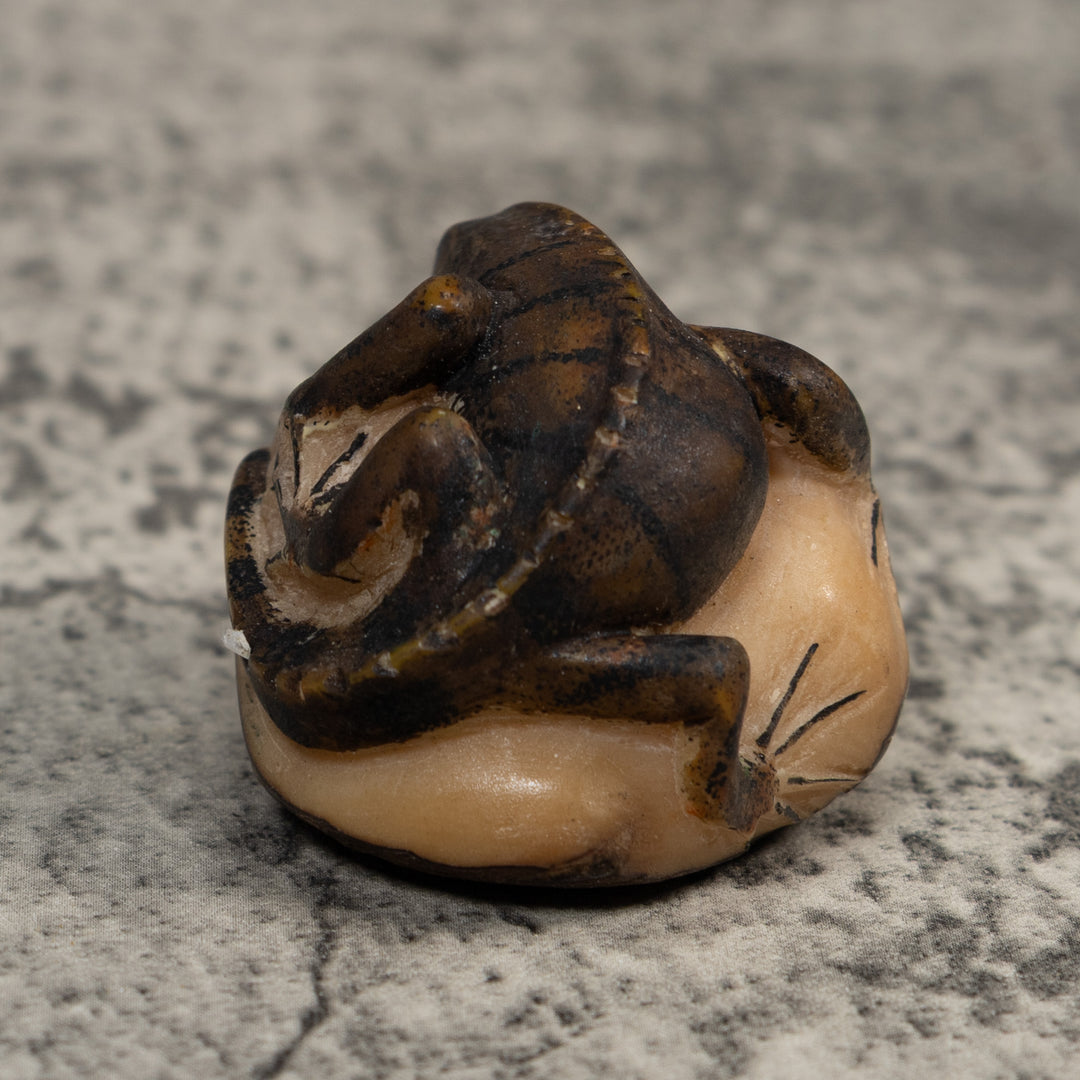 Vintage Green Iguana Lizard Tagua Carving
