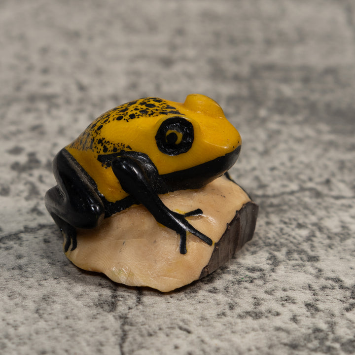 Vintage Black And Gold Poison Dart Frog Tagua Carving