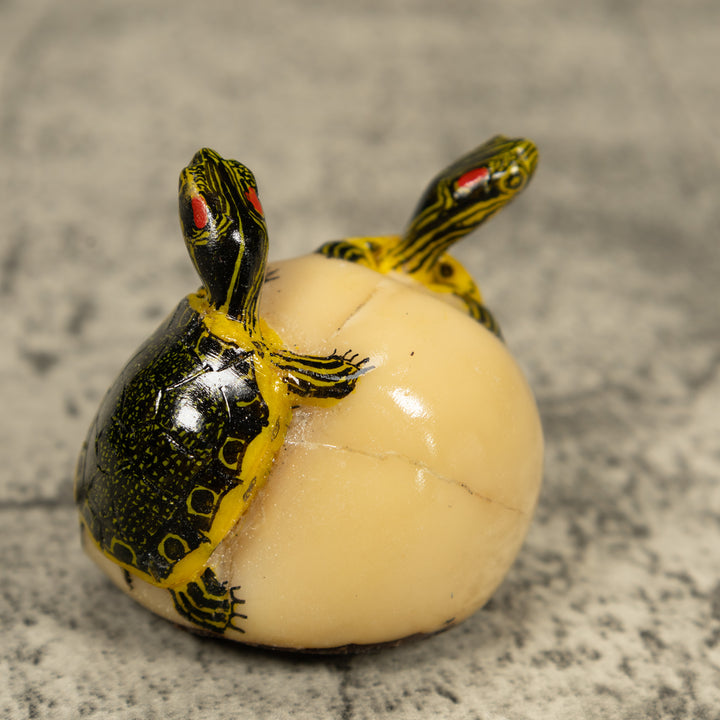 Double (2) Tortoise Turtle Tagua Carving