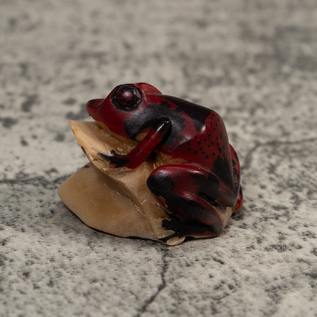 Vintage Red And Black Frog Tagua Carving