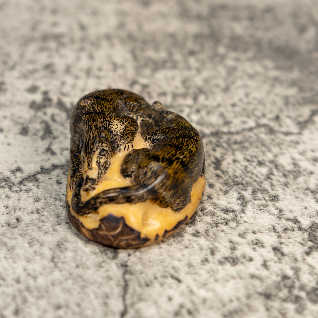 Double Coatimundi Tagua Carving